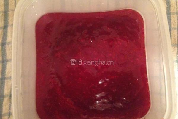 自制蔓越莓酱