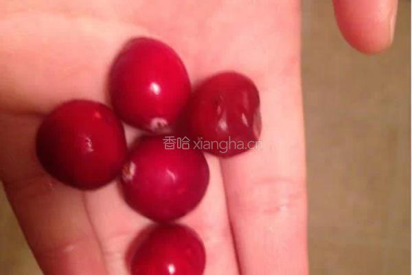自制蔓越莓酱的做法图解2