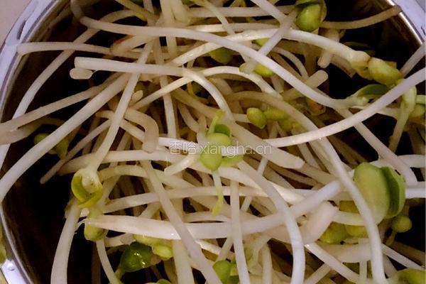 五彩豆芽菜土豆丝的做法图解2