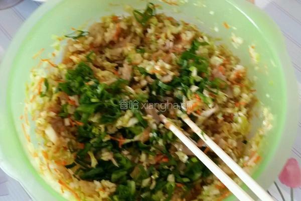 卷心菜包子的做法图解5