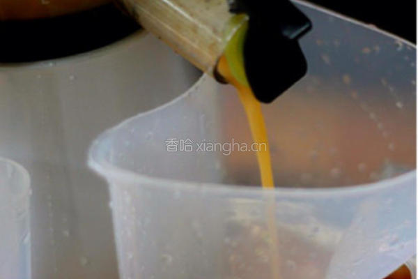  #哈密瓜#哈密瓜冰棍的做法图解3