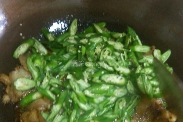 尖椒回锅肉的做法图解7