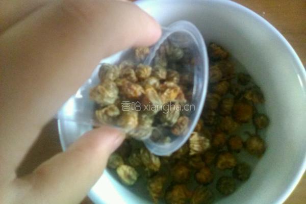 菊花茶的做法图解2