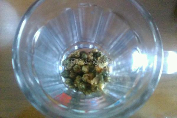 菊花茶的做法图解4