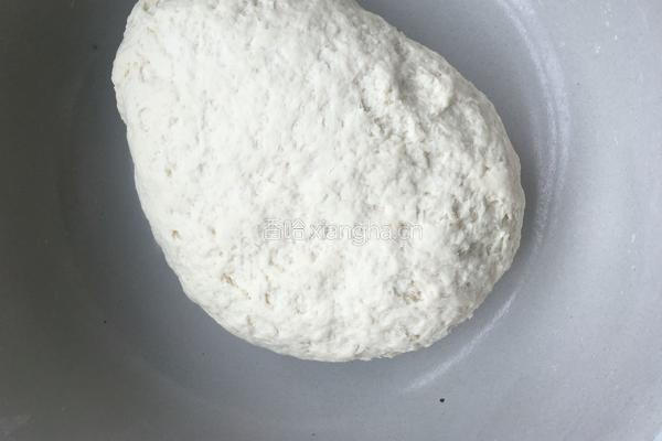 香菜饺子的做法图解4