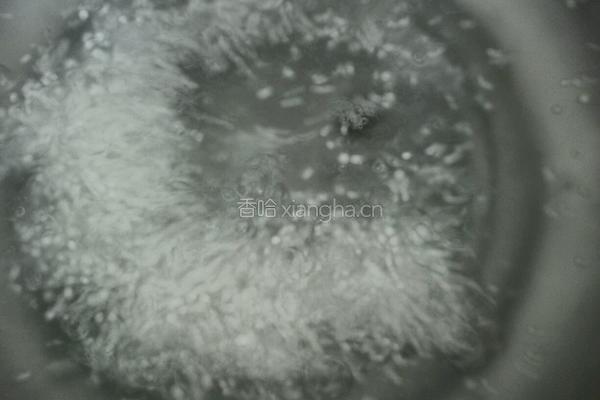 牛奶西米露的做法图解1