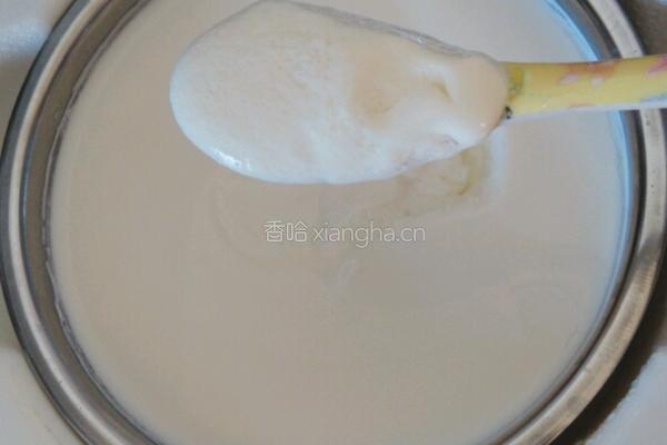 酸奶的做法图解4