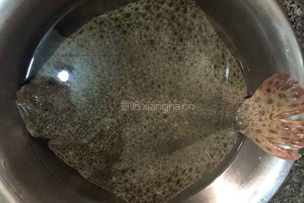 清蒸多宝鱼的做法图解1