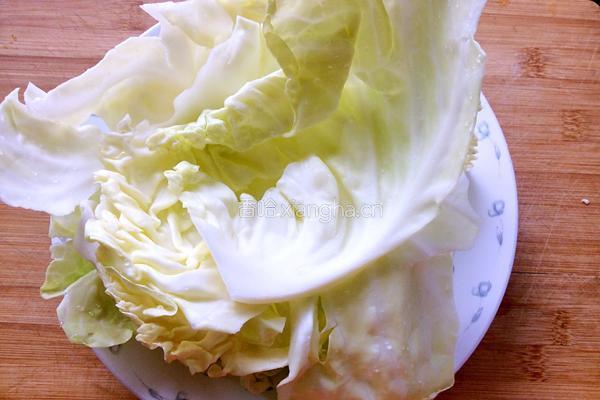 卷心菜肉糜卷的做法图解1