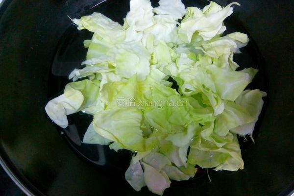 蚝油卷心菜的做法图解3
