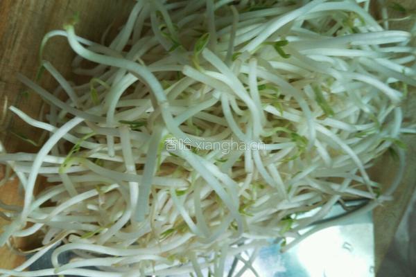 绿豆芽煮饭的做法图解1