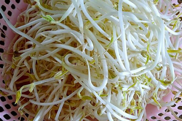 酸辣绿豆芽的做法图解1