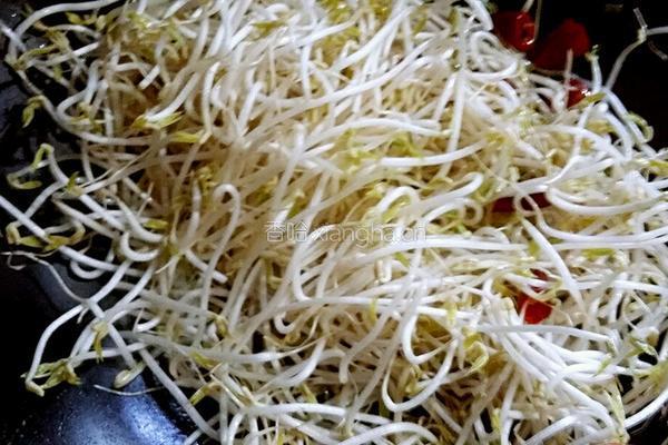 酸辣绿豆芽的做法图解4