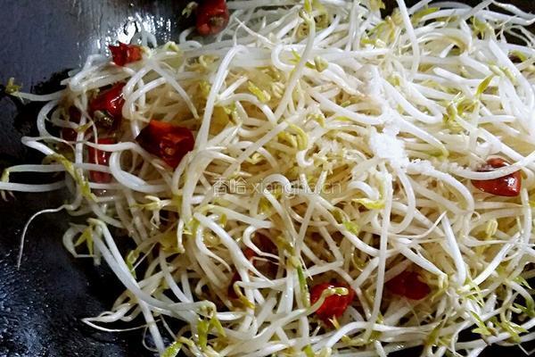 酸辣绿豆芽的做法图解5