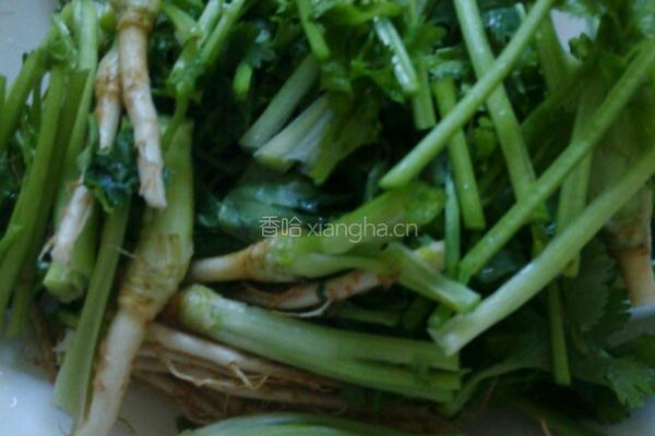 绿豆芽炒香菜的做法图解2