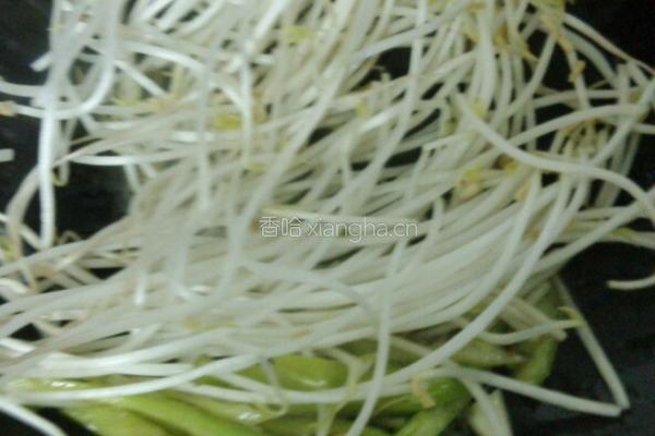 绿豆芽炒香菜的做法图解4