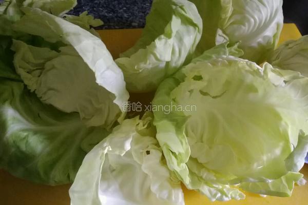 卷心菜包肉肉的做法图解1
