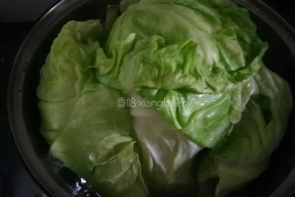 卷心菜包肉肉的做法图解3
