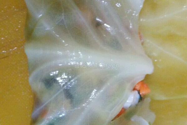 卷心菜包肉肉的做法图解6