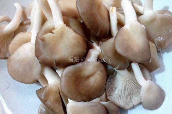 平菇炒卷心菜的做法图解2
