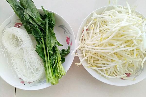 凉拌绿豆芽菠菜粉丝的做法图解1