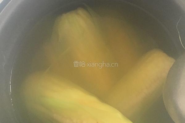 清水煮嫩玉米的做法图解2