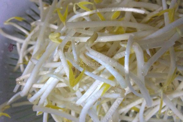 芹菜炒绿豆芽的做法图解1