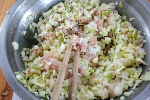 卷心菜猪肉饺子的做法图解4