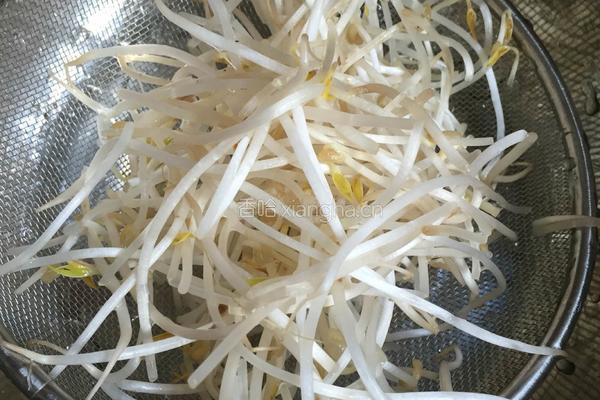 绿豆芽包蛋的做法图解1