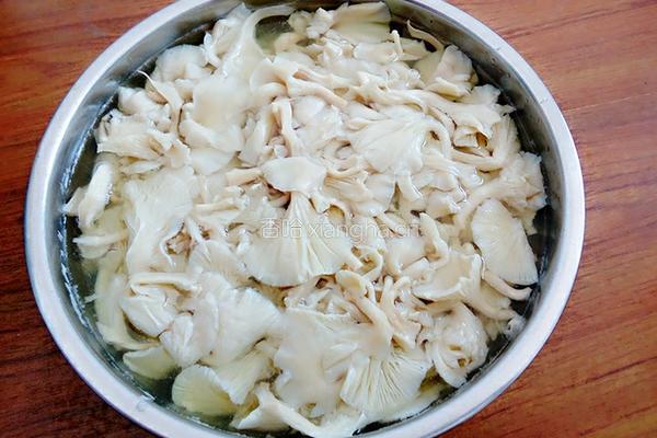 榆黄菇猪肉饺子的做法图解4