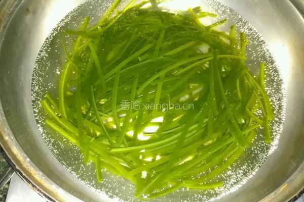 凉拌芽菜的做法图解4