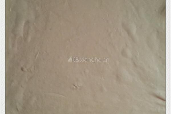 牛肉馅饼的做法图解7