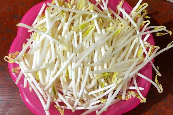 绿豆芽杂菜寿司的做法图解1