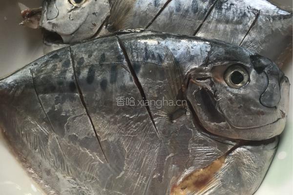 红烧刀鲳鱼的做法图解1