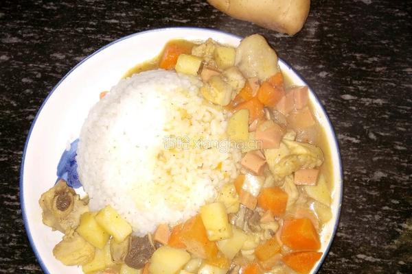 咖喱鸡腿饭～的做法图解5