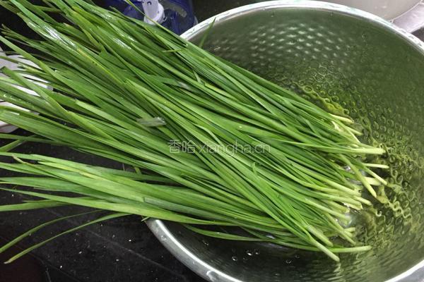 韭菜猪肉饺的做法图解2