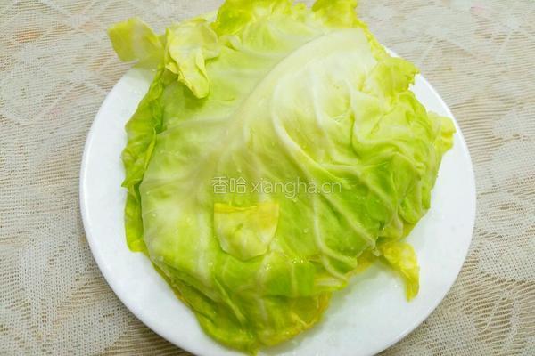 卷心菜虾仁白米粥的做法图解4