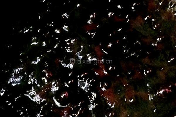 蓝莓酱的做法图解4
