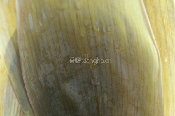 糯米红枣粽子的做法图解5