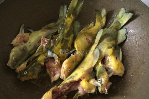 黄骨鱼番茄汤的做法图解4