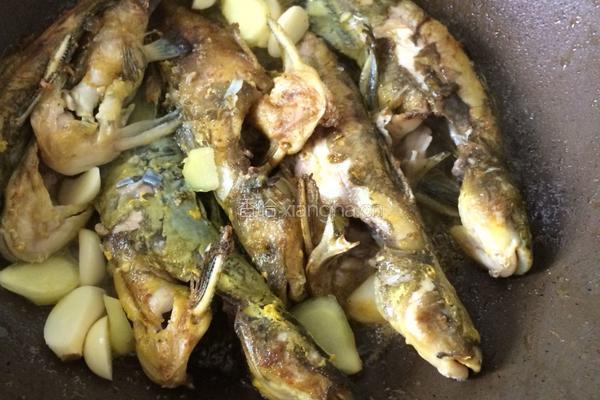 黄骨鱼番茄汤的做法图解5