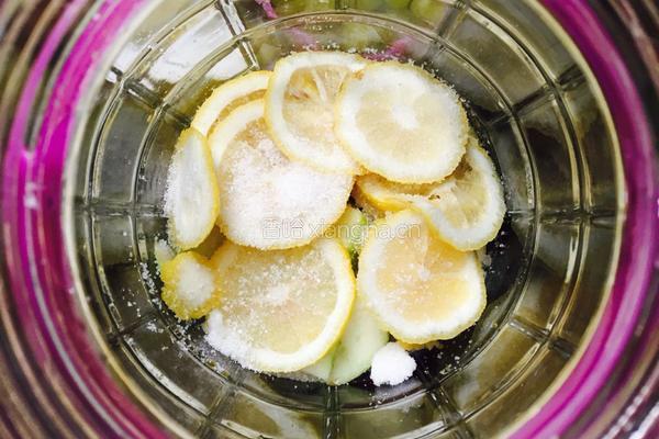 多种水果酵素的做法图解11