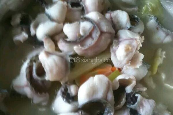 自制酸菜鱼的做法图解19