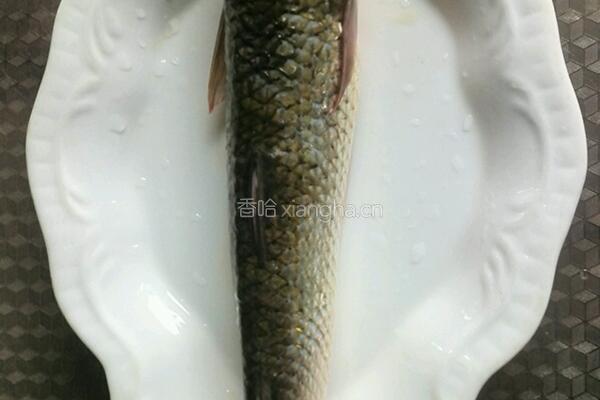 清蒸鲥鱼的做法图解1