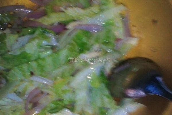 卷心菜洋葱炒肉的做法图解7