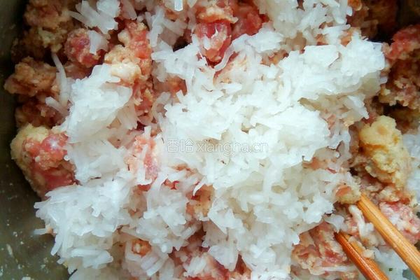 白萝卜丝豆渣肉丸子的做法图解7