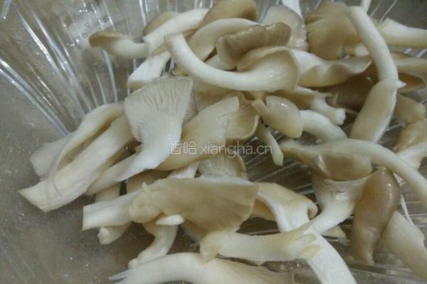 平菇鲫鱼汤的做法图解3