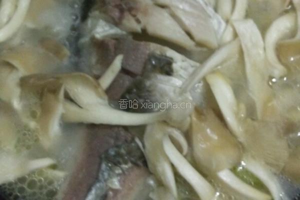 平菇鲫鱼汤的做法图解6