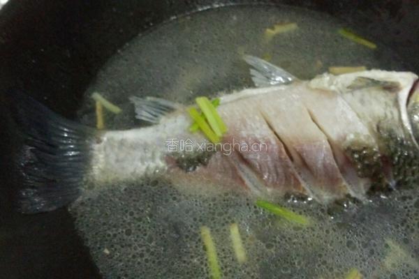 平菇鲫鱼汤的做法图解5