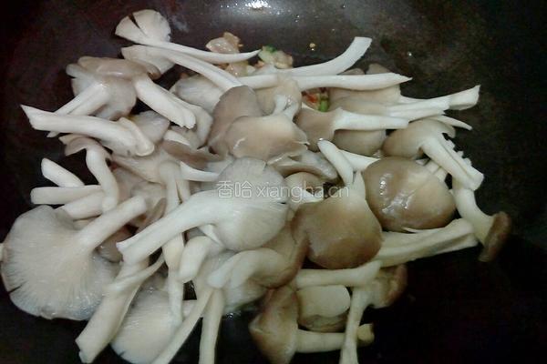 小炒秀珍菇的做法图解9